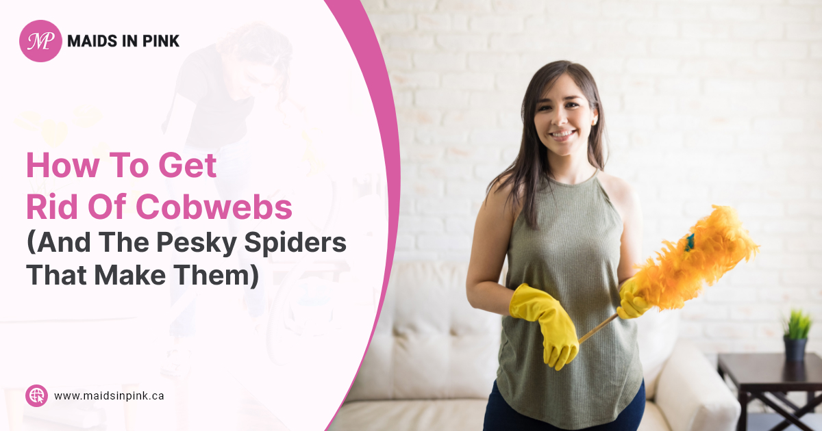 How To Get Rid Of Cobwebs And The Pesky Spiders That Make Them Blog 7851