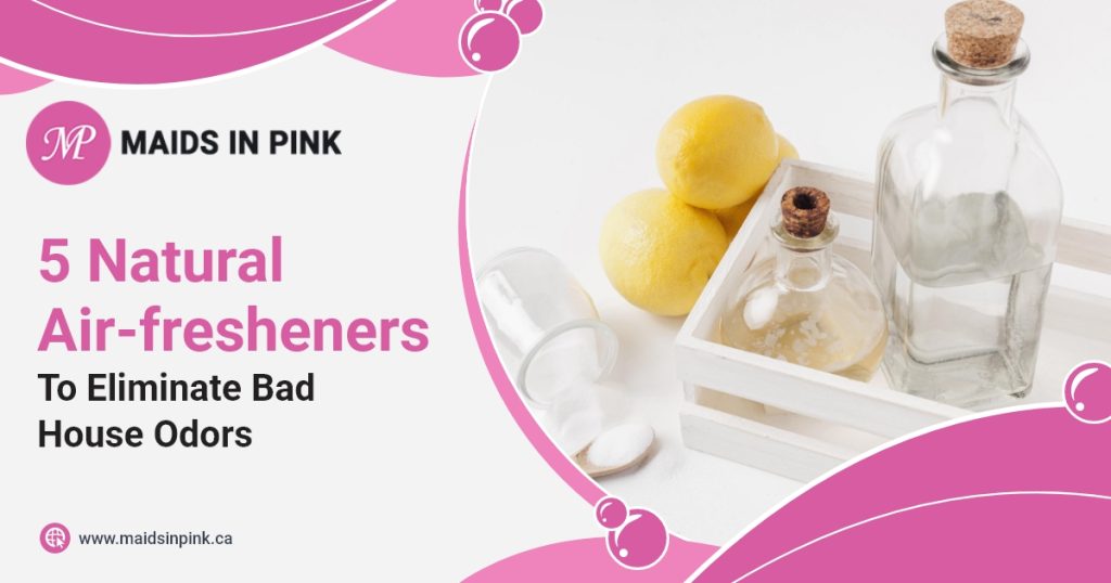 Natural house air fresheners