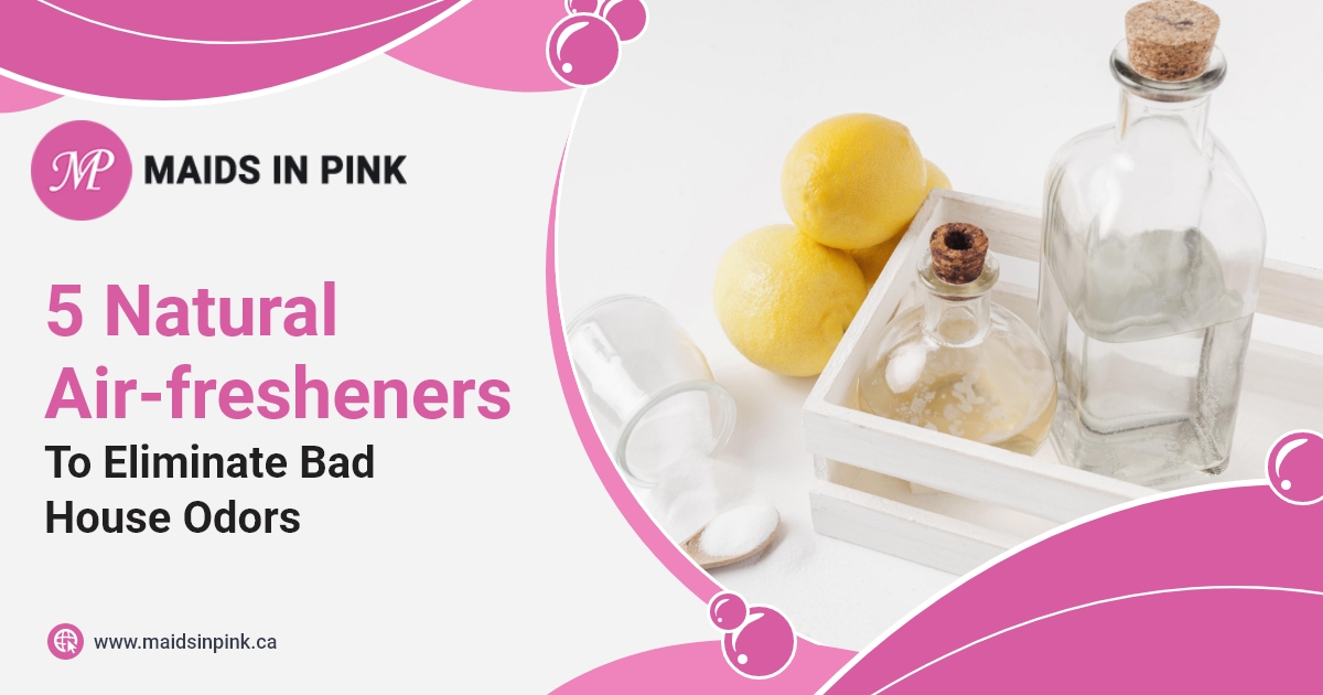 Natural house air fresheners